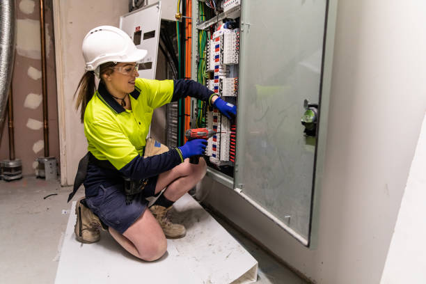 Best Electric Panel Repair  in Lake Wilderness, VA