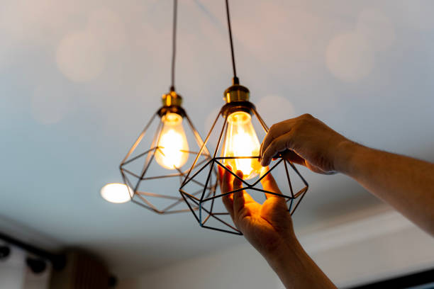 Best Affordable Electrician  in Lake Wilderness, VA